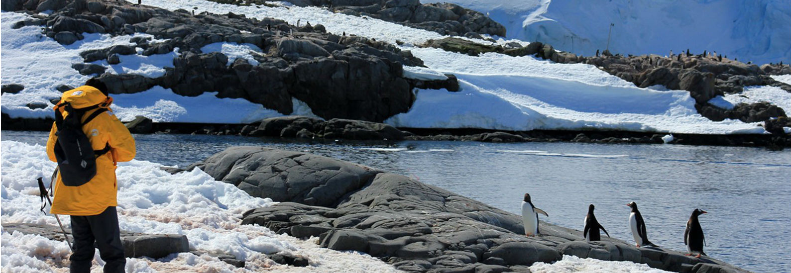 antarctica-peninsula-hero